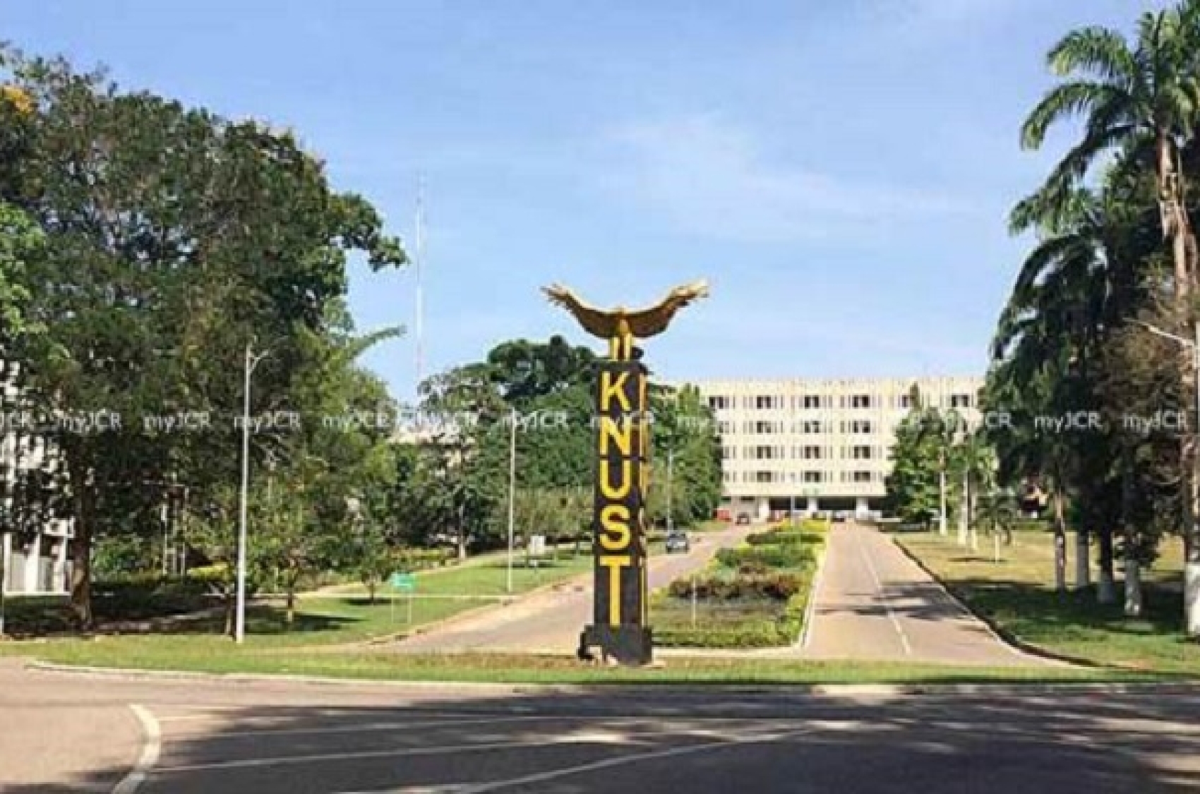 knust