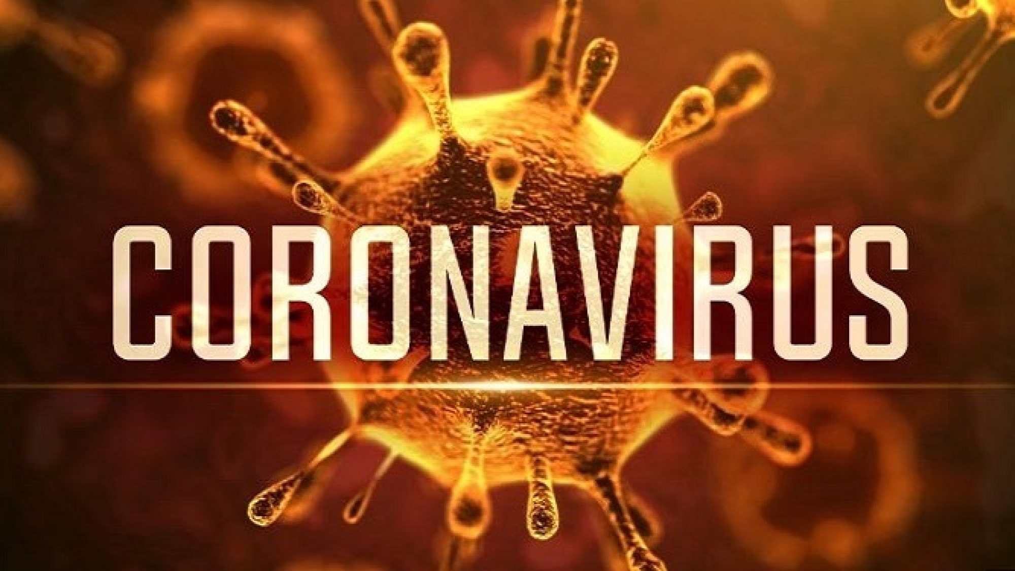 coronavirusmgn1
