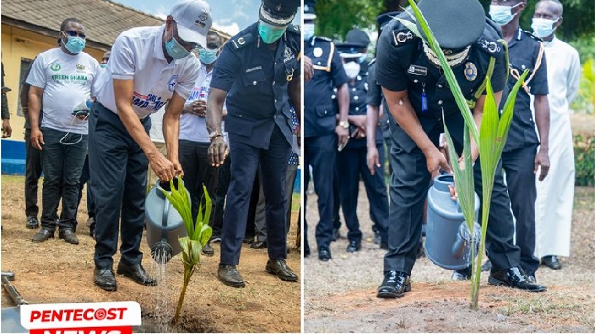 The church of pentecost, IGP plant tress (02)