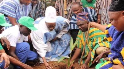 The Church of Pentecost Joins Yaa Naa To Observe Green Ghana Day web